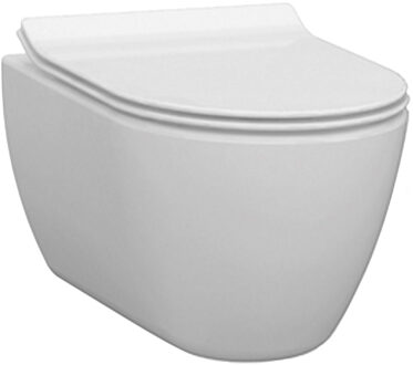 Idevit Alfa Wandcloset Randloos Diepspoel Wit