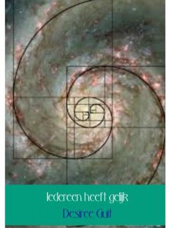 Iedereen heeft gelijk - Boek Desiree Guit (940216071X)