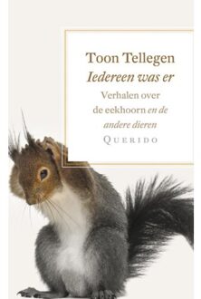 Iedereen was er - Boek Toon Tellegen (9021406179)
