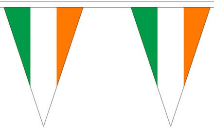 Ierland landen punt vlaggetjes - 5 meter - slinger / vlaggenlijn - polyester Multi