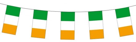 Ierse feest vlaggetjes Multi