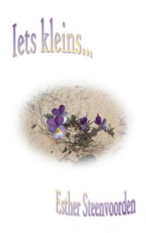 Iets kleins - Boek Esther Steenvoorden (9461935188)