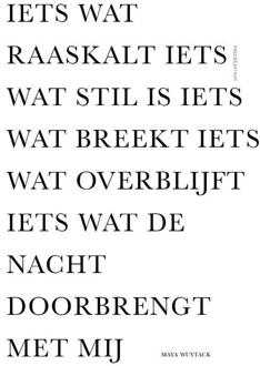 Iets wat raaskalt iets wat stil is iets wat breekt iets wat overblijft iets wat de nacht doorbrengt met mij -  Maya Wuytack (ISBN: 9789056554521)