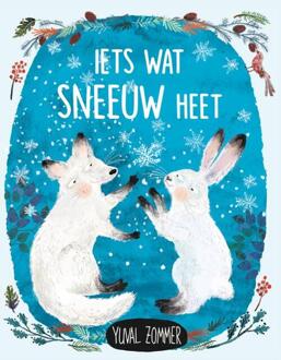 Iets wat sneeuw heet