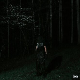 If Looks Could Kill - Destroy Lonely