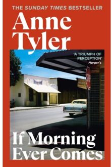 If Morning Ever Comes - Anne Tyler