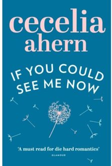 If You Could See Me Now - Cecelia Ahern