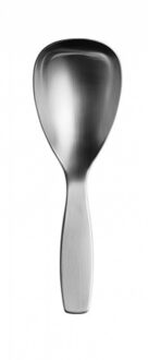 Iittala Collective Tools Dienlepel klein Zilver