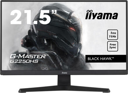 Iiyama G-Master G2250HS-B1 monitor