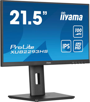 Iiyama ProLite XUB2293HS-B6 monitor
