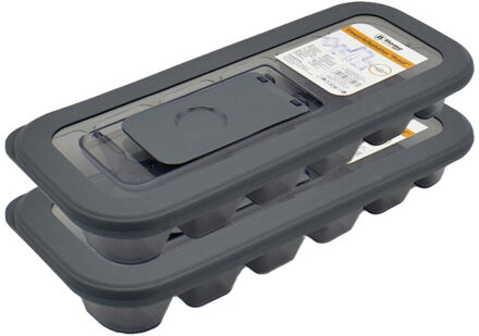 IJsblokjesvorm met deksel - 2x - 12 ijsklontjes - kunststof - grijs