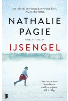 IJsengel - Boek Nathalie Pagie (9022584992)