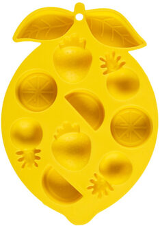 IJsklontjes mal - fruit vormpjes - siliconen - ijsblokjes maken - citroen mal