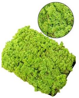 IJslandsmos woudgroen 0,5 m2