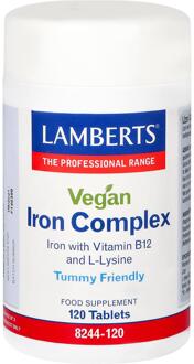 IJzer complex Vegan - 120 tabletten
