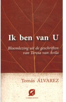 Ik ben van u - Boek Tomas Alvarez (907667194X)