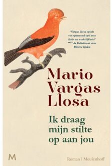Ik Draag Mijn Stilte Op Aan Jou - Mario Vargas Llosa