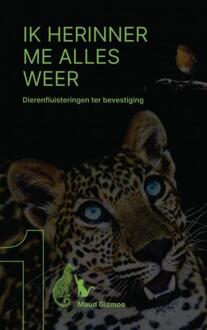Ik herinner me alles weer -  Maud Gizmoo (ISBN: 9789403787374)