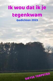 Ik wou dat ik je tegenkwam -  Sietse Terpstra (ISBN: 9789464929386)