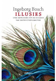 Illusies - Boek Ingeborg Bosch (9045029820)