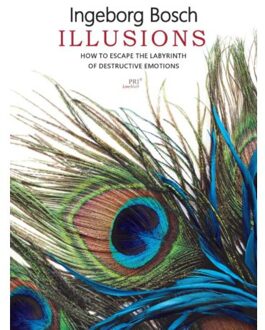 Illusions - Boek Ingeborg Bosch (908070492X)