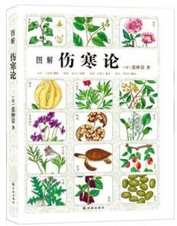 Illustratie van tyfus theorie