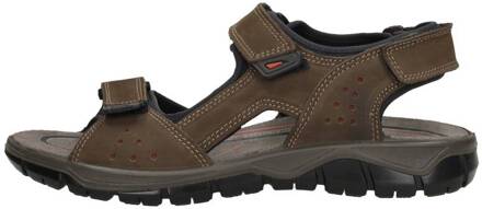 Imac Sandalen Donkerbruin - 43