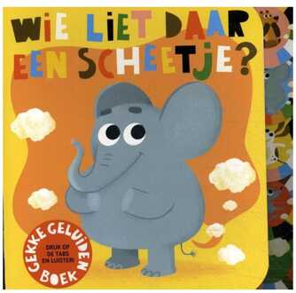 Image Books Geluidenboek: Wie liet daar een scheetje? 2+