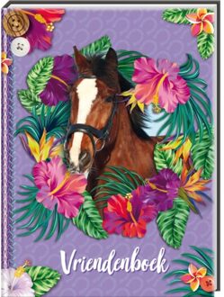 Image Books Vriendenboek Paarden. 4+ Multikleur