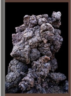 Imaginary Ecologies - Martin Tscholl