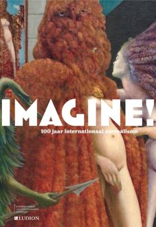 Imagine! -  Francisca Vandepitte (ISBN: 9789464781113)