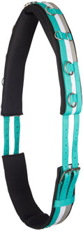 Imperial Riding Longeersingel Imperial Riding Neon Turquoise, PAARD in turquoise