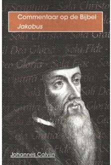 Importantia Publishing De brief van Jakobus - Boek Johannes Calvijn (9057190990)