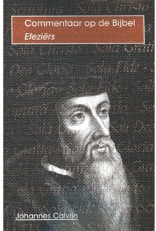 Importantia Publishing De brief van Paulus aan / De Efeziërs - Boek Johannes Calvijn (9057191083)