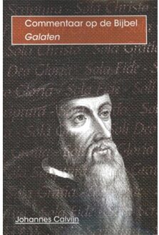 Importantia Publishing De brief van Paulus aan de / Galaten - Boek Johannes Calvijn (9057191075)