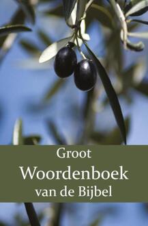 Importantia Publishing Groot Woordenboek van de Bijbel A-H - (ISBN:9789057195563)