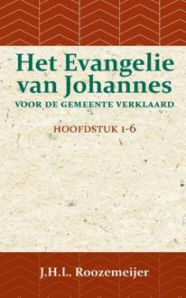 Importantia Publishing Het Evangelie Van Johannes Voor De Gemeente Verklaard 1 - J.H.L. Roozemeijer