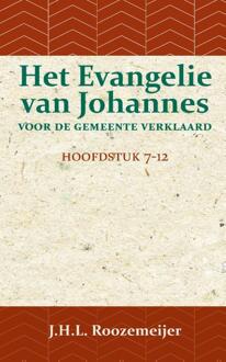 Importantia Publishing Het Evangelie Van Johannes Voor De Gemeente Verklaard 2 - J.H.L. Roozemeijer