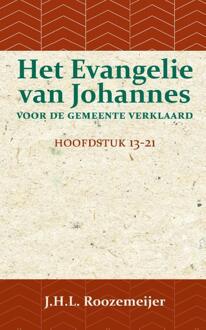 Importantia Publishing Het Evangelie Van Johannes Voor De Gemeente Verklaard 3 - J.H.L. Roozemeijer