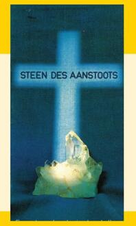 Importantia Publishing Steen Des Aanstoots - J.I. van Baaren