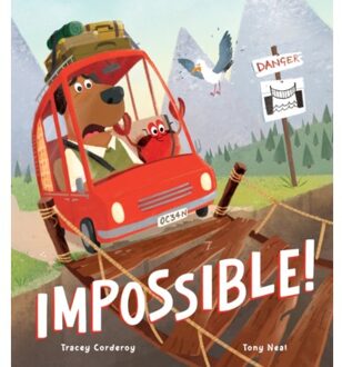 Impossible! - Tracey Corderoy