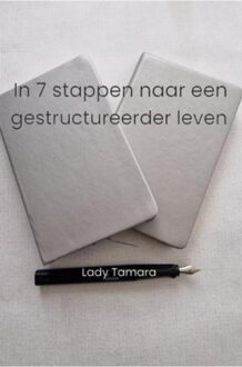 In 7 stappen naar een gestructureerder leven - Lady Tamara - ebook