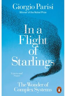 In A Flight Of Starlings - Giorgio Parisi