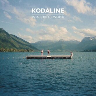 In A Perfect World (LP)