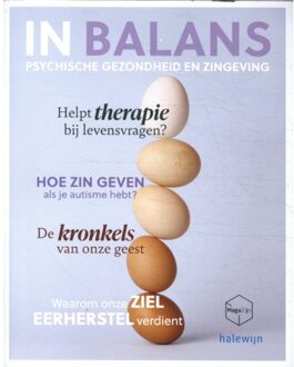 In Balans. Psychische Gezondheid En Zingeving - Johan Van der Vloet