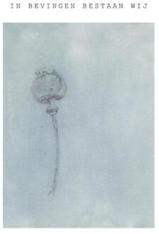 In bevingen bestaan wij -  Dietske Geerlings (ISBN: 9789083181356)
