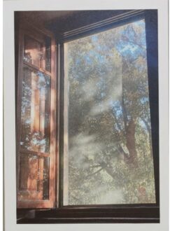 In Constant Hilarity