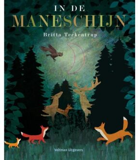 In de maneschijn - Boek Britta Teckentrup (9048315646)