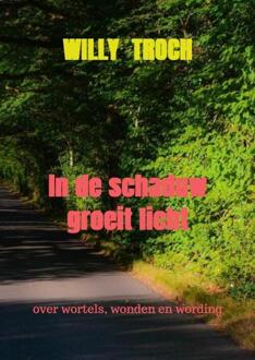 In de schaduw groeit licht -  Willy Troch (ISBN: 9789465381459)