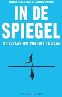 In de spiegel - Björn Prins, Joost Callens - ebook